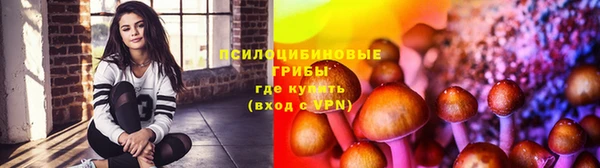 МДПВ Слюдянка