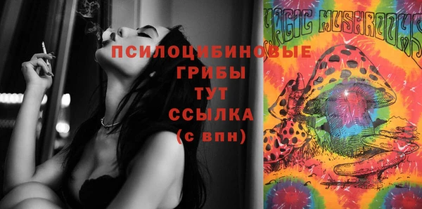 МДПВ Слюдянка