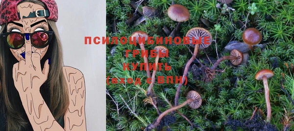 МДПВ Слюдянка